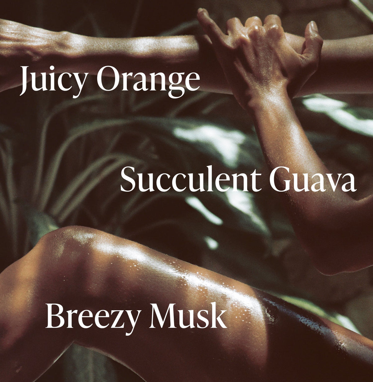 Exotic Pulp - Body Duo