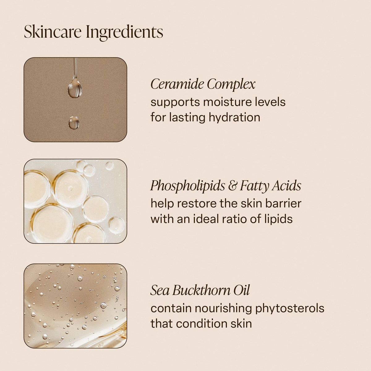 Golden Hour - Body Butter