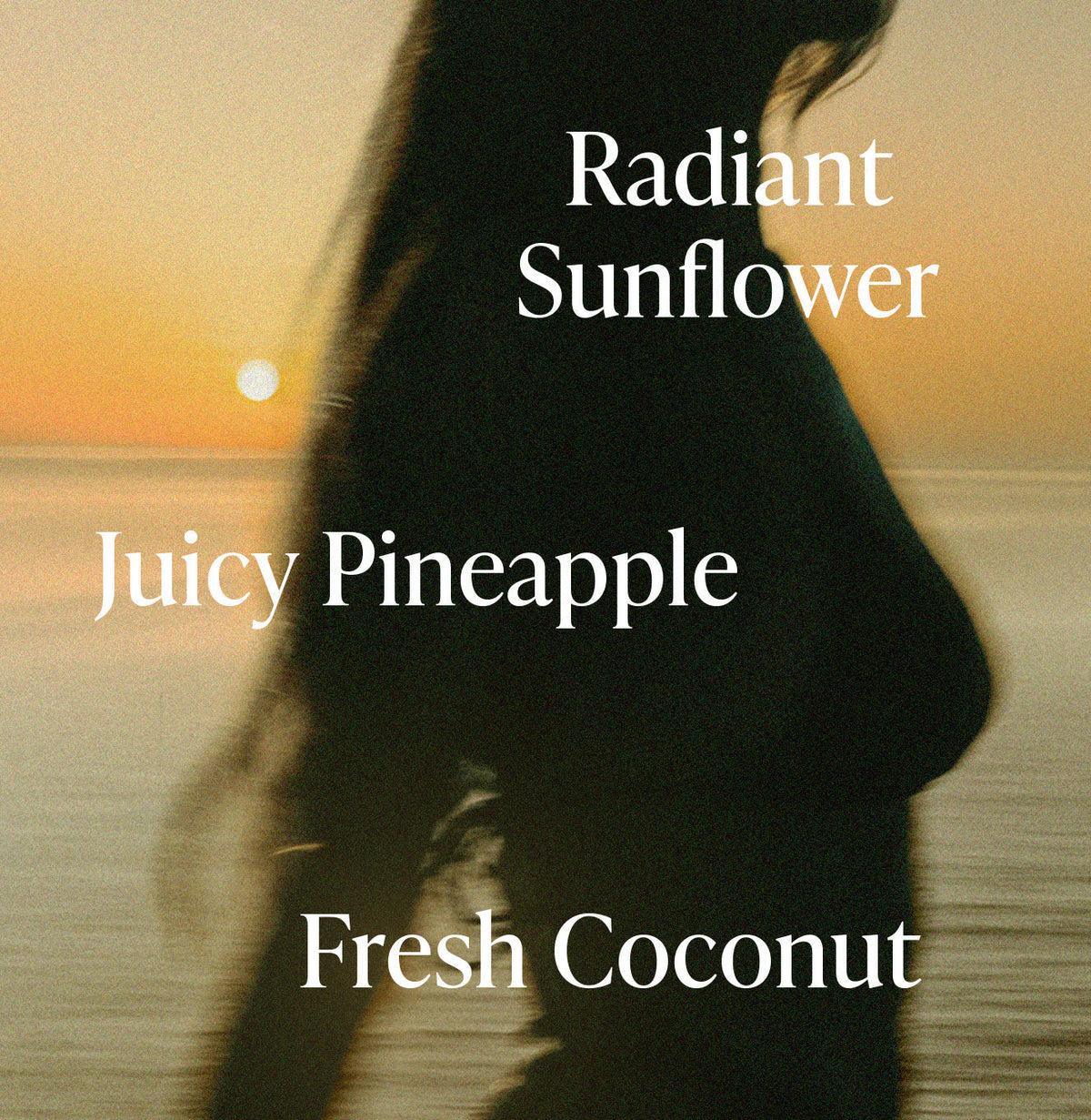 Golden Hour - Shimmering Body Oil