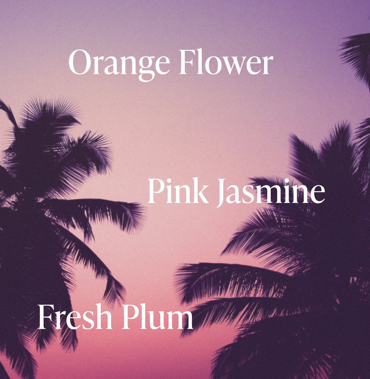 Beach Blonde - Purple Shampoo