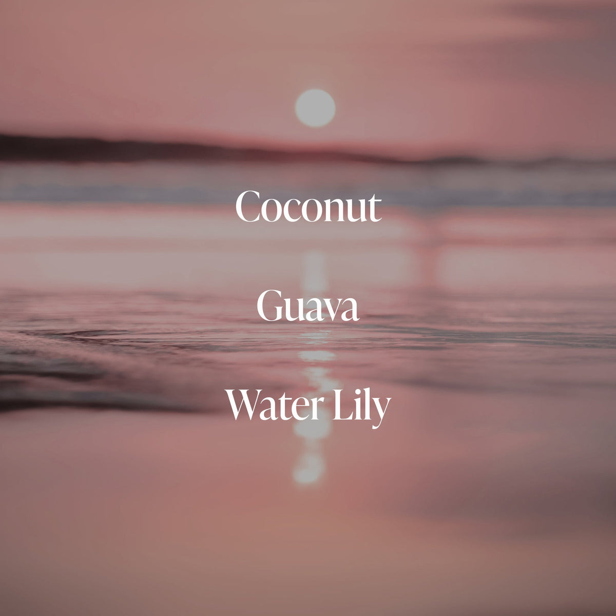 Coral Coast - Essentials Set